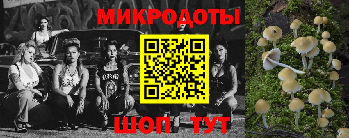 Псилоцибиновые грибы GOLDEN TEACHER  Вход с VPN  Зима  Галлюциногенные грибы мицелий 